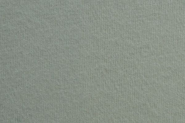 Karton 720x1010mm 280g Nettuno Polvere Lg R125 Fsc Mix Credit Pbn-Coc